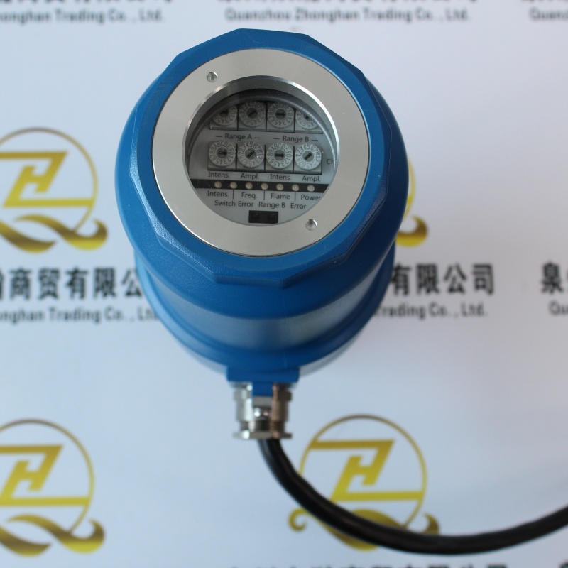 DURAG火焰检测器D-LX201UA-C1M484EXMCG， (6).JPG